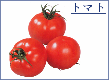 旬の食材 トマト