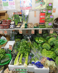 画像：店内には新鮮な野菜が所狭しと並べられている