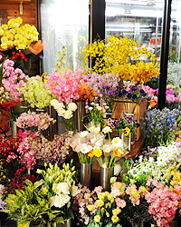 画像：市場に出かけるからこその生き生きとした花々