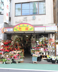 画像：昭和33年創業。西武新宿線・上石神井駅から徒歩1分の「花の店 花勝」